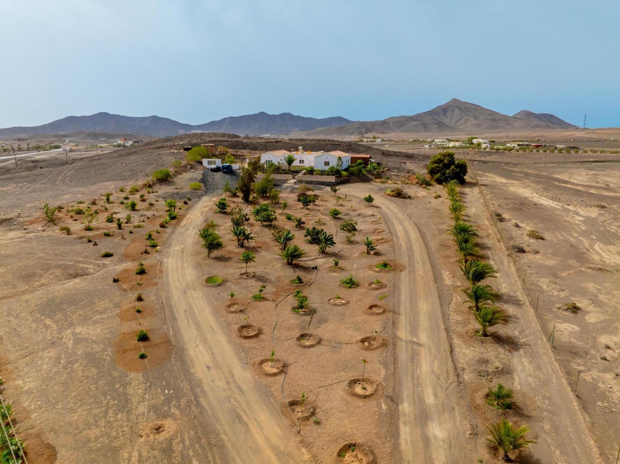 Casa Amaya - Spacious House With Pool, Large Garden, Bbq, 2 Terraces, And Ideal Location El Charco  Bagian luar foto